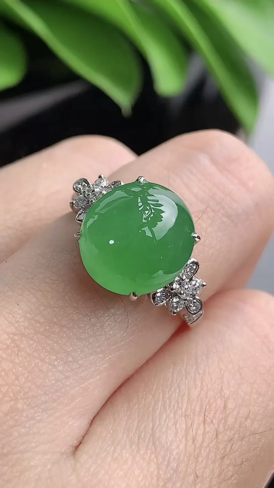 a货翡翠老坑冰种18K金伴钻镶嵌阳绿蛋面戒指 圈口17.3裸石尺寸11.5×10.6mm 重量5.0