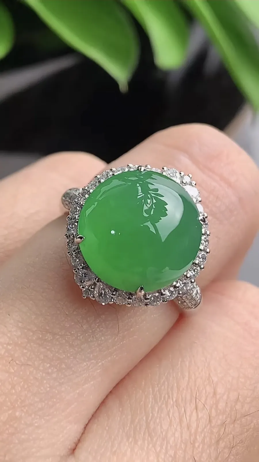 a货翡翠老坑冰种18K金伴钻镶嵌阳绿蛋面戒指 圈口17.3裸石尺寸12×11.7mm 重量5.00g 1203