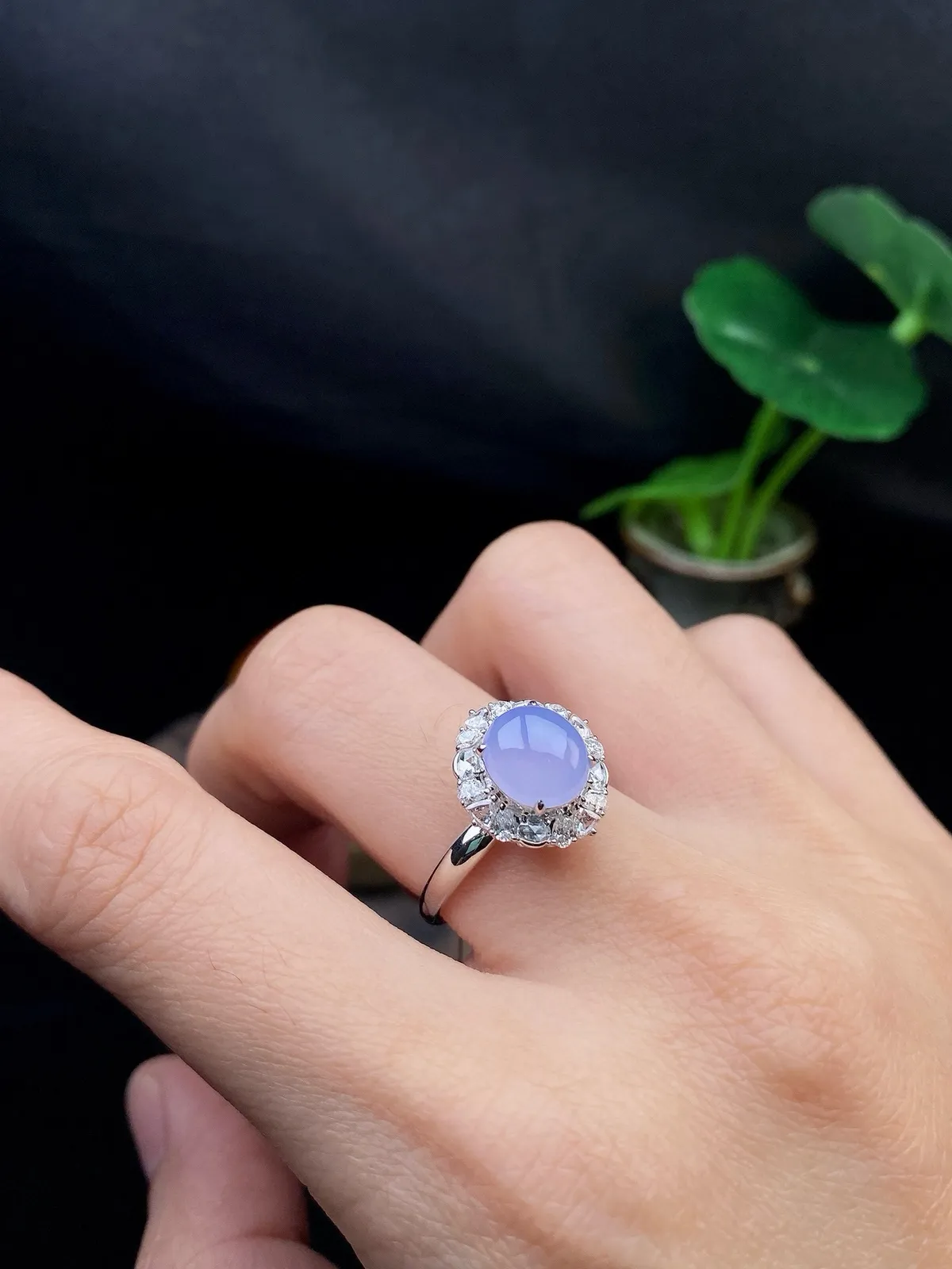 【冰种紫蛋面戒指】饱满度很好，无纹无裂，晶莹剔透，18k金钻镶嵌，裸石尺寸8.5*7.8*3.8毫米