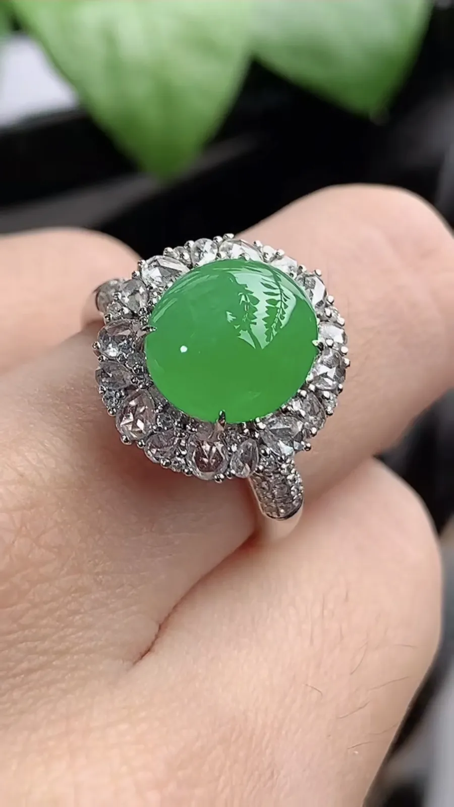a货翡翠老坑冰种18K金伴钻镶嵌阳绿蛋面戒指 圈口17.3裸石尺寸10.2×9mm 重量5.05g 1204