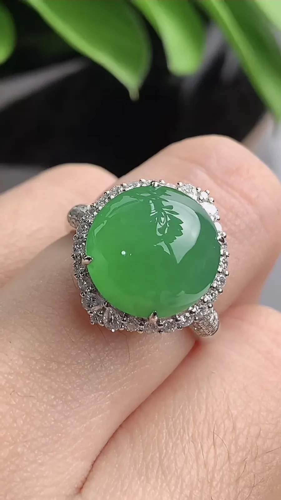a货翡翠老坑冰种18K金伴钻镶嵌阳绿蛋面戒指 圈口17.3裸石尺寸12×11.7mm 重量5.00g 1203