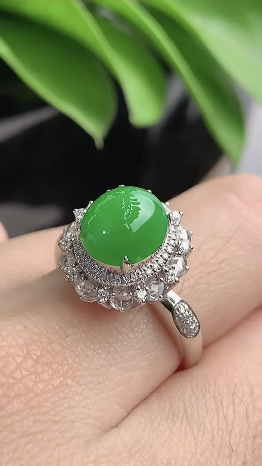 a货翡翠老坑冰种18K金伴钻镶嵌阳绿蛋面戒指 圈口17.7裸石尺寸9×8.6mm 重量3.74g 1203