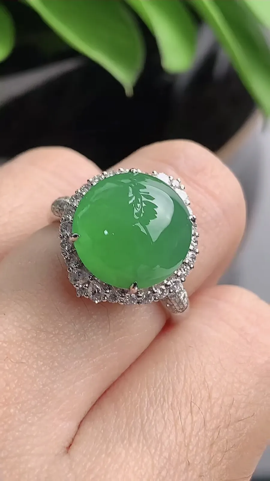 a货翡翠老坑冰种18K金伴钻镶嵌阳绿蛋面戒指 圈口17.3裸石尺寸12×11.7mm 重量5.00g 1203