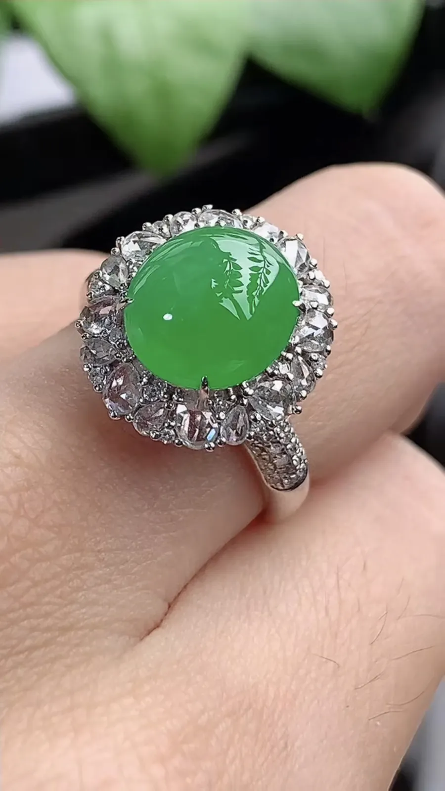 a货翡翠老坑冰种18K金伴钻镶嵌阳绿蛋面戒指 圈口17.3裸石尺寸10.2×9mm 重量5.05g 1204