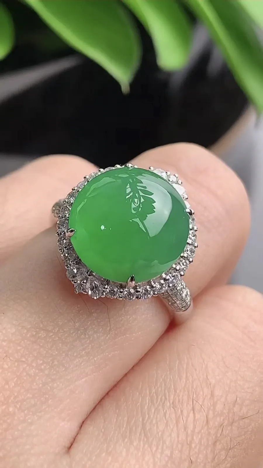 a货翡翠老坑冰种18K金伴钻镶嵌阳绿蛋面戒指 圈口17.3裸石尺寸12×11.7mm 重量5.00g 1203