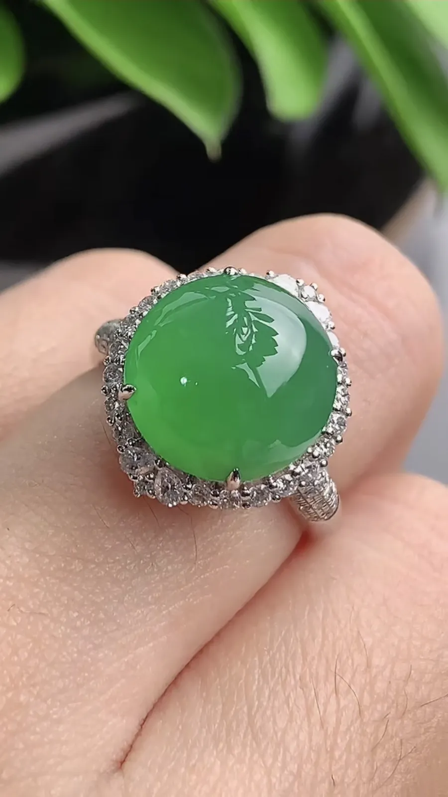 a货翡翠老坑冰种18K金伴钻镶嵌阳绿蛋面戒指 圈口17.3裸石尺寸12×11.7mm 重量5.00g 1203