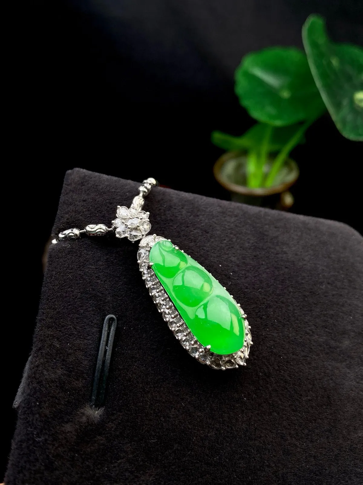 【冰种满绿福豆吊坠】精品，种地上乘，冰感十足，通透起光，饱满圆润，18k金钻镶嵌，裸石尺寸21.4*