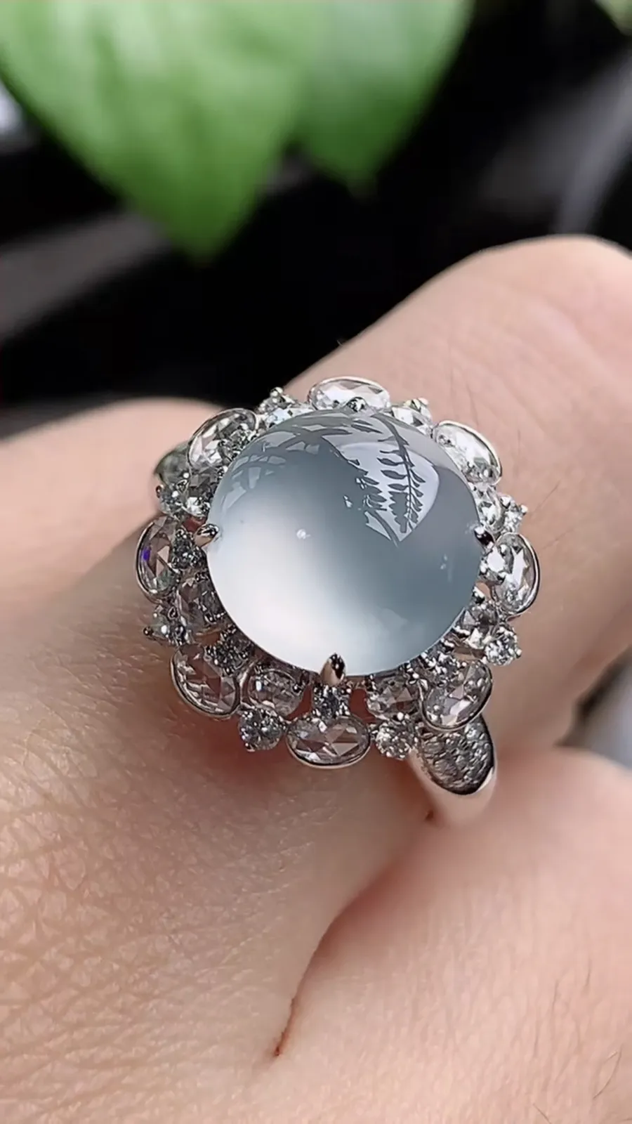 a货翡翠老坑冰种18K金伴钻镶嵌白月光蛋面戒指 圈口17.5裸石尺寸10.2mm 重量4.66g 1205