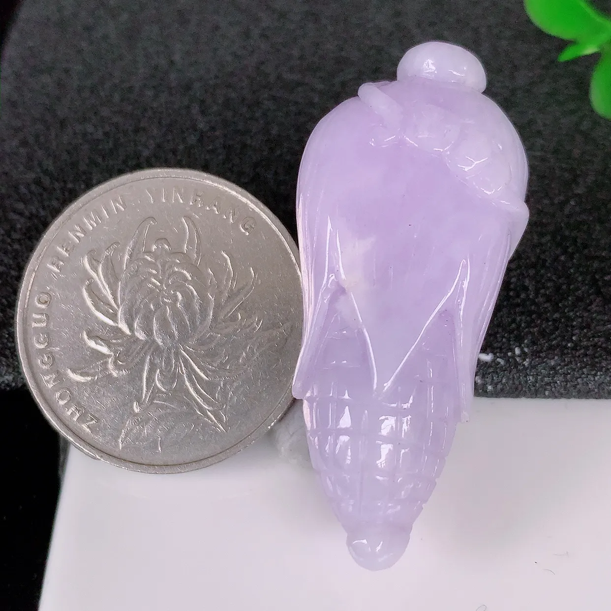 自然光实拍，水润紫罗兰翡翠玉米吊坠，多子多福，翠色灵动，玉质细腻，颜色漂亮，品相佳，佩戴佳品！#05.3