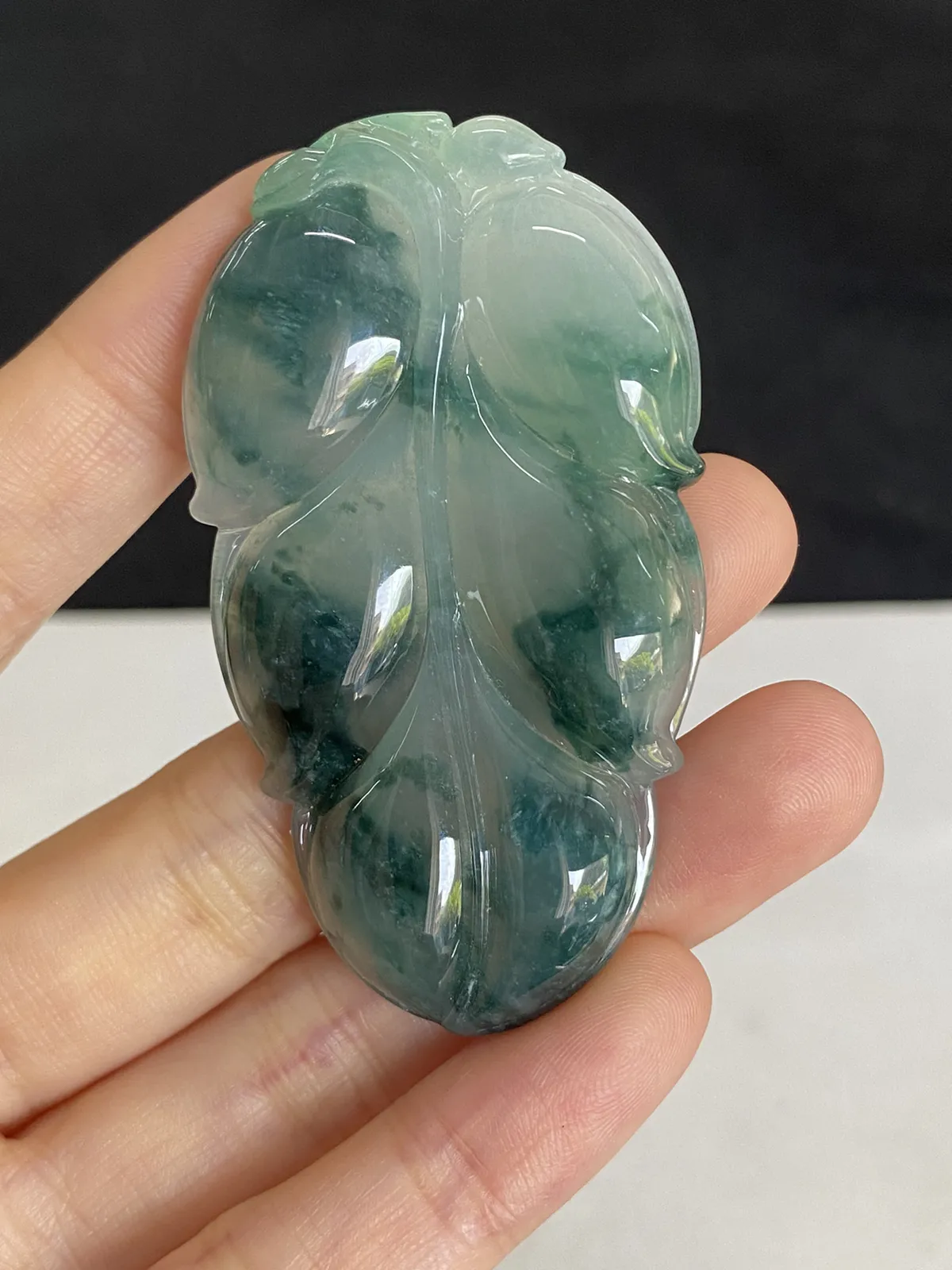 翡翠糯化种飘绿叶子