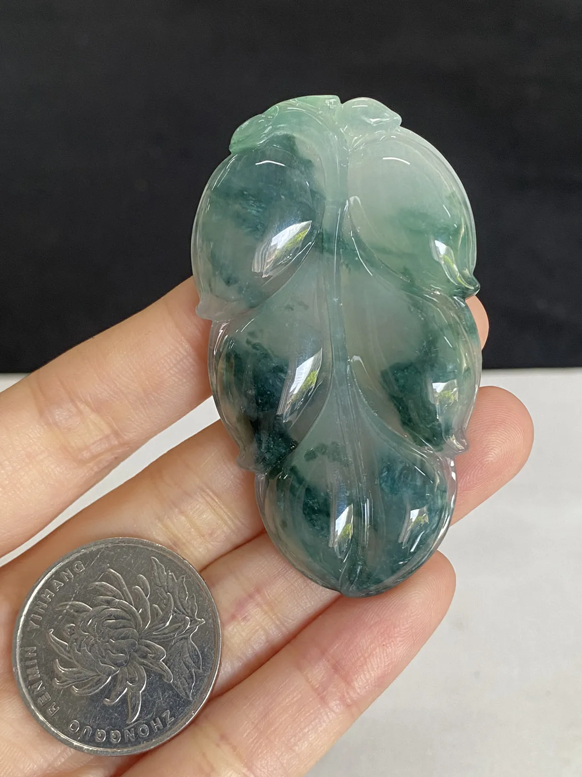 翡翠糯化种飘绿叶子