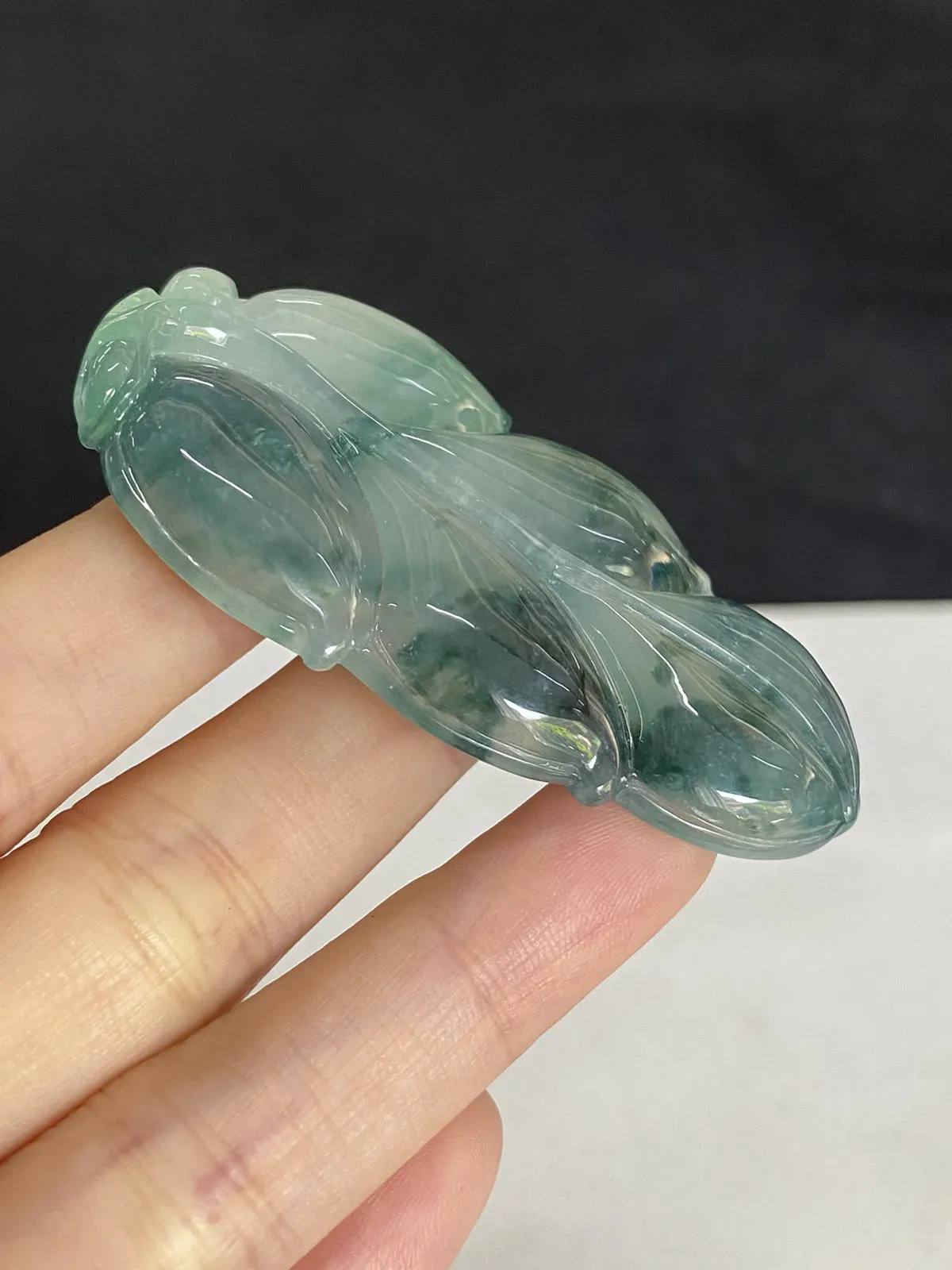 翡翠糯化种飘绿叶子