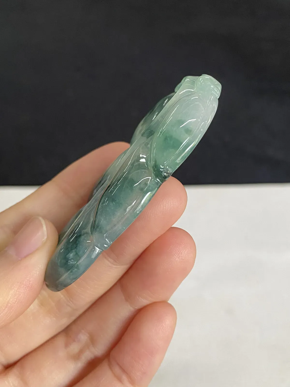 翡翠糯化种飘绿叶子