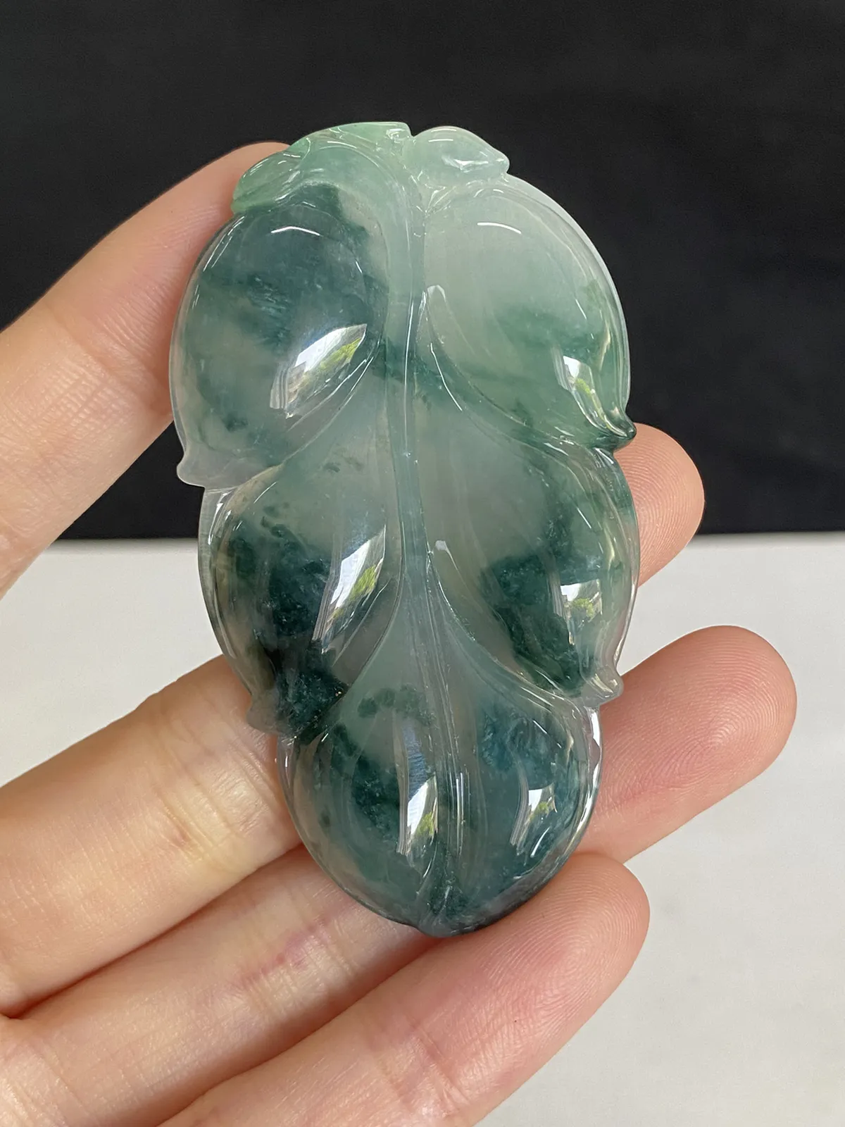 翡翠糯化种飘绿叶子