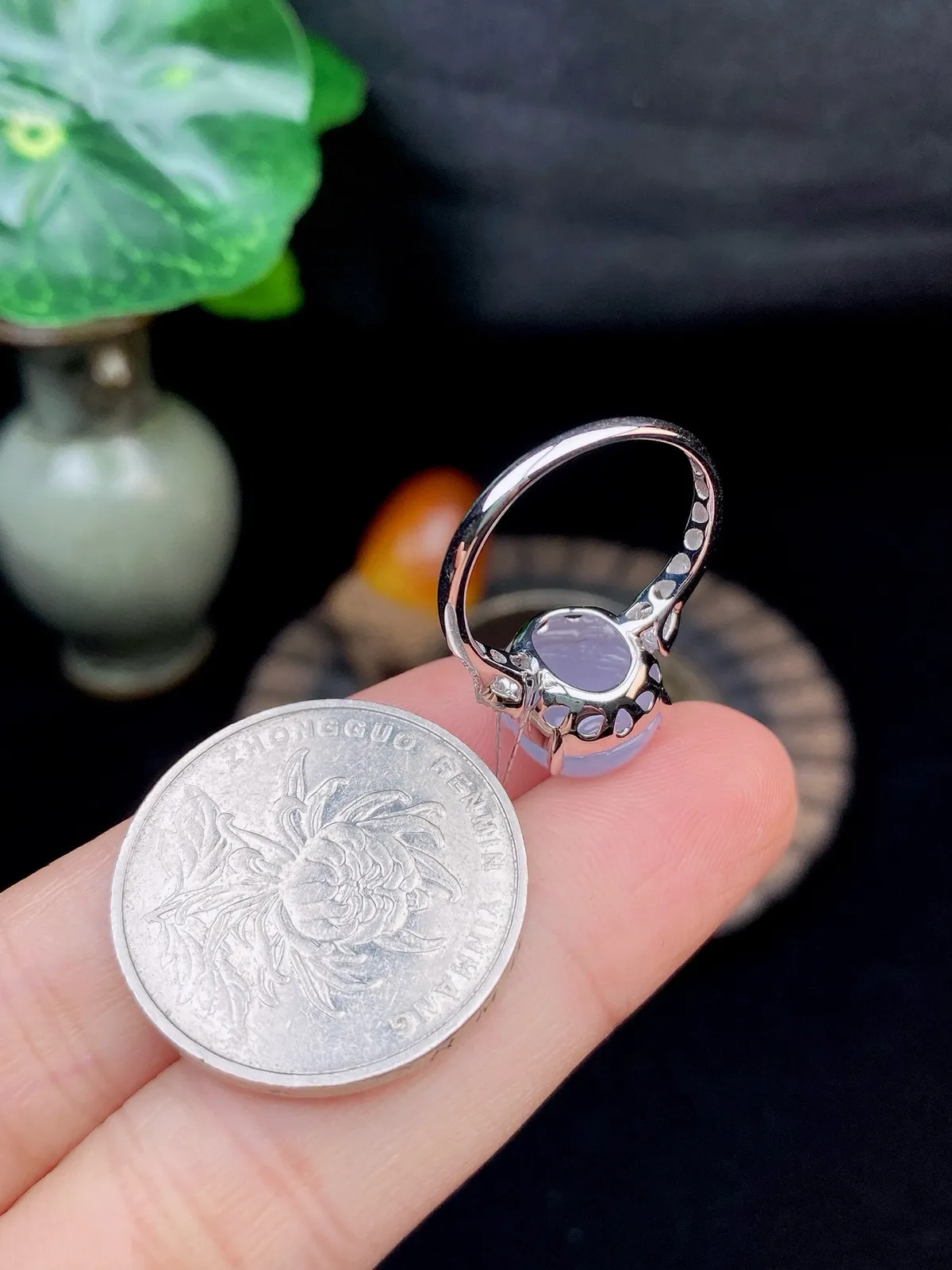 【冰种紫金蝉戒指】质地细腻，饱满度很好，晶莹剔透，18k金钻镶嵌，裸石尺寸11.2*10.2*5.8毫米