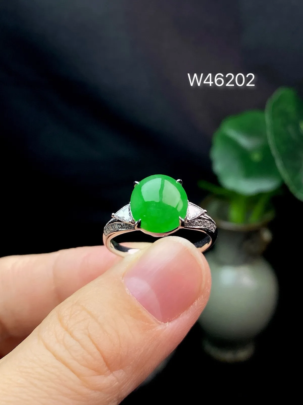 【冰种满绿蛋面戒指】种水色俱全，冰透闪亮，通透感饱满度很好，18k金钻镶嵌，裸石尺寸9.5*8.6*