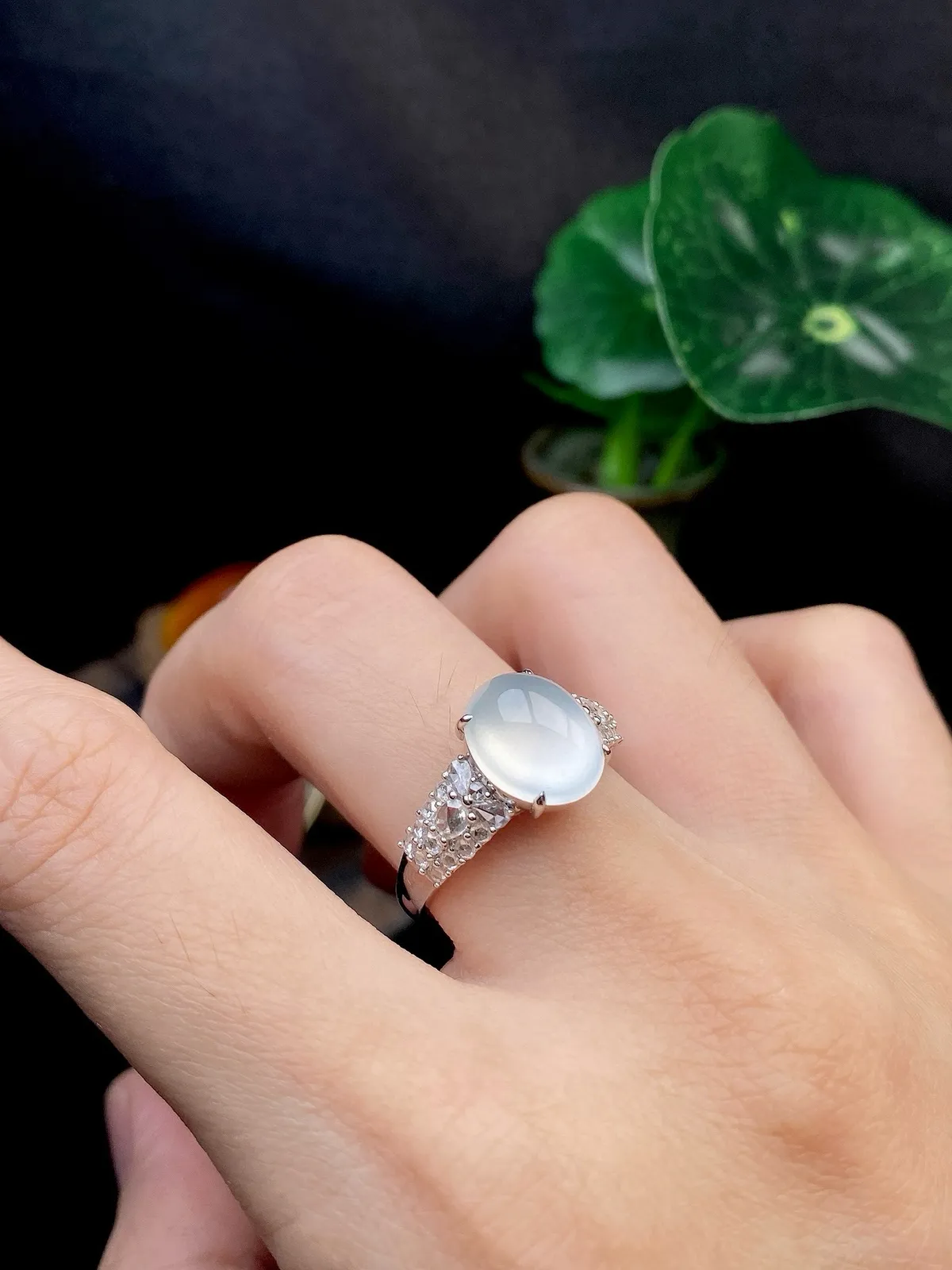 【冰种蛋面戒指】种水很不错、细腻水润，形状很饱满，收藏品质，18K金钻镶嵌，裸石尺寸10.5*8.8*5.3毫米