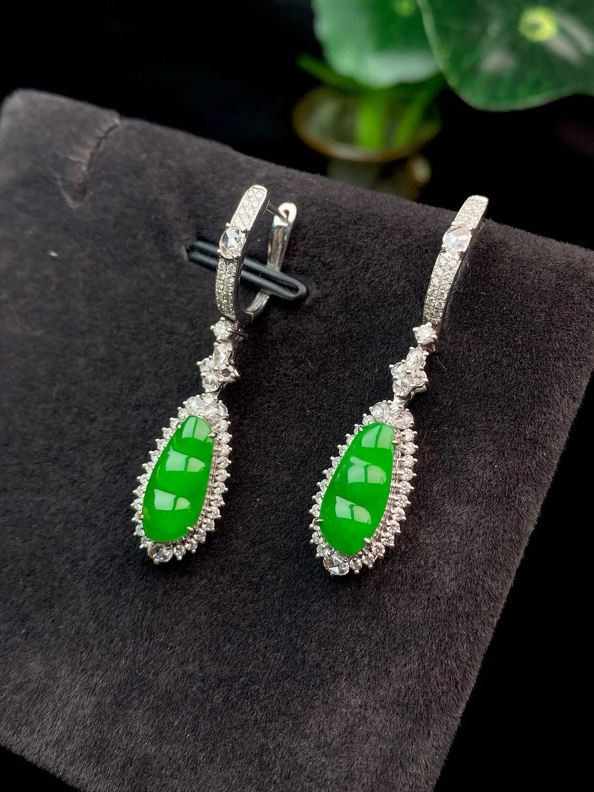 【冰种满绿福豆耳坠】种水上乘，阳绿色泽，纯净通透，收藏品质，18k金钻豪华镶嵌，裸石尺寸11.3*5