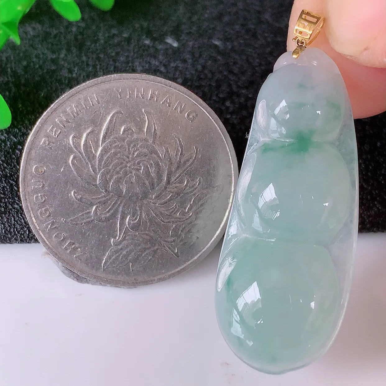 18K金镶嵌冰种飘花翡翠四季豆吊坠，平安豆福豆玉坠，冰润通透，豆粒饱满，寓意：豆蔻年华！#49.11