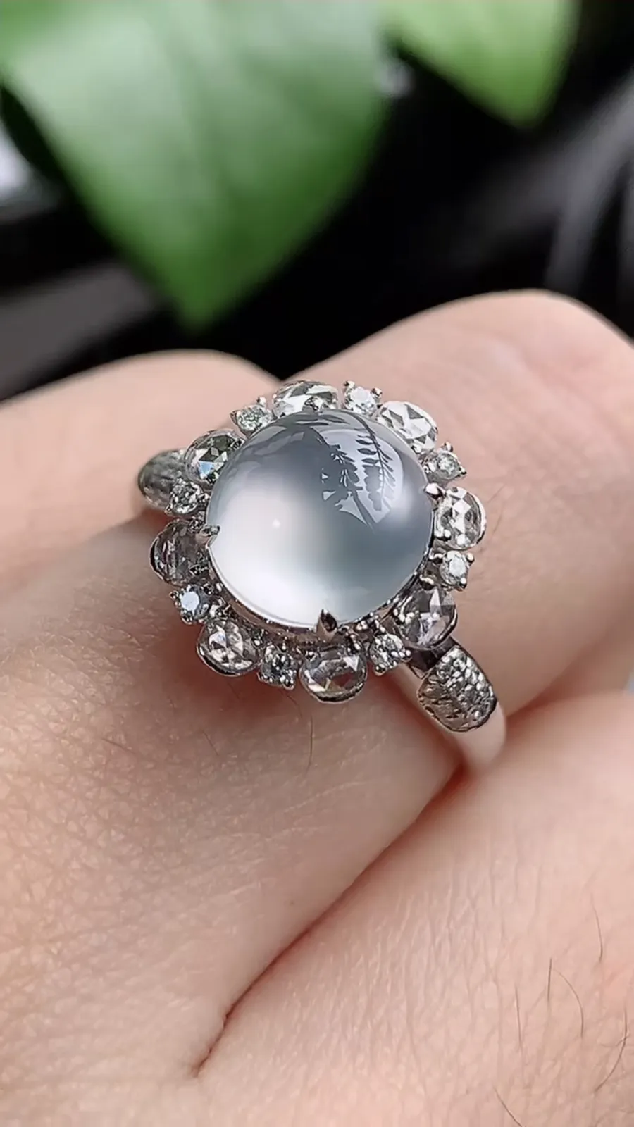 a货翡翠老坑冰种18K金伴钻镶嵌白月光蛋面戒指 圈口17.4裸石尺寸8.2×7.6mm 重量3.42