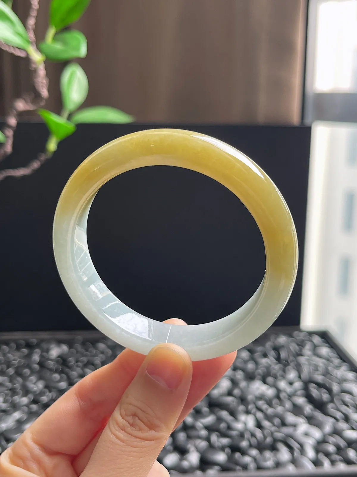 正圈54.7圈口，翡翠冰糯种黄色手镯