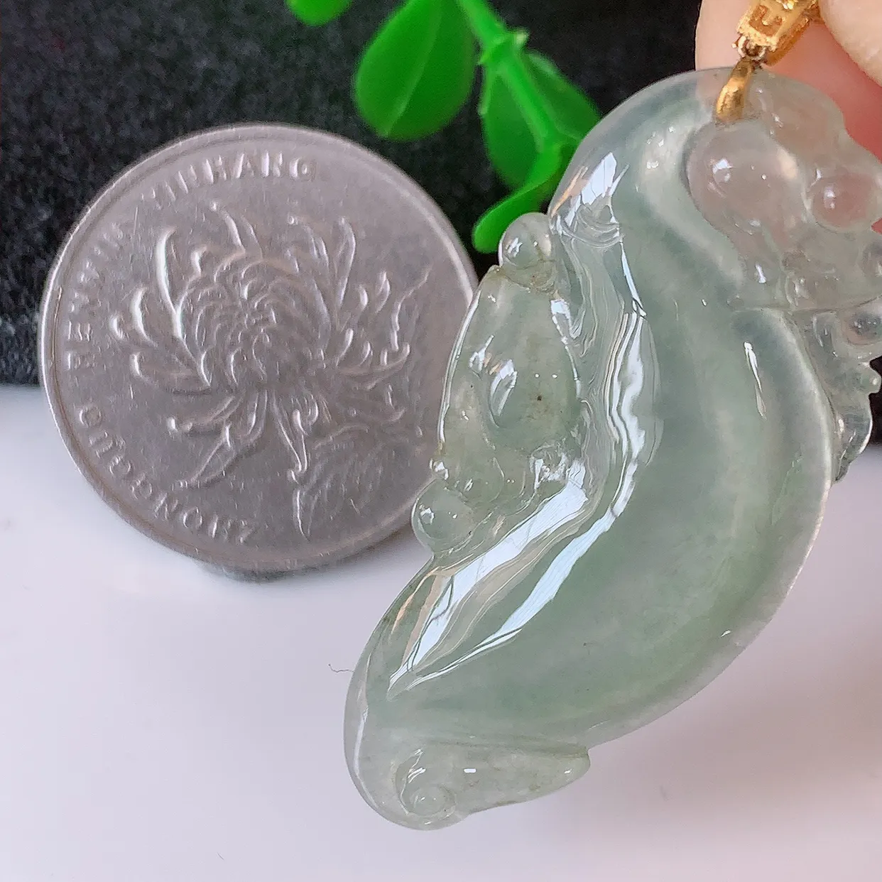 18K金镶嵌冰种翡翠招财龙鱼吊坠，种老水足，雕工精湛 ，寓意美好，佩戴时尚出众！#41.11