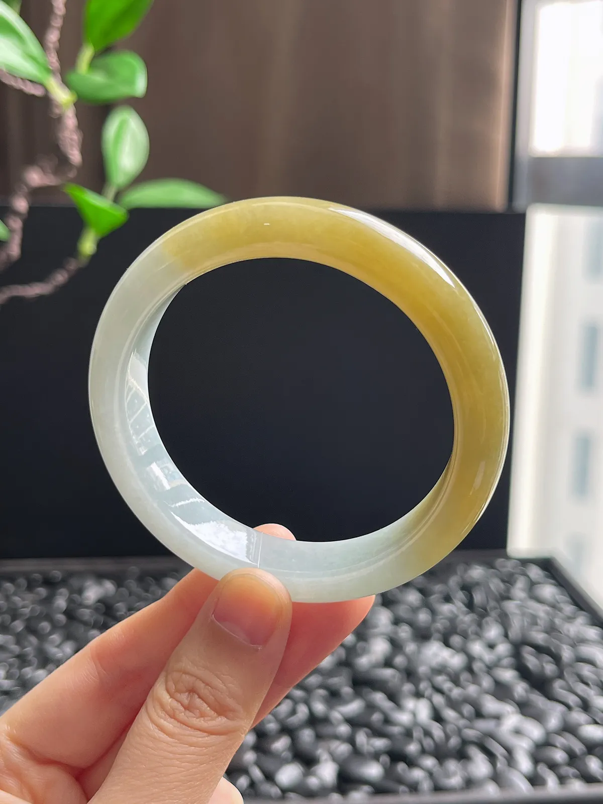 正圈54.7圈口，翡翠冰糯种黄色手镯