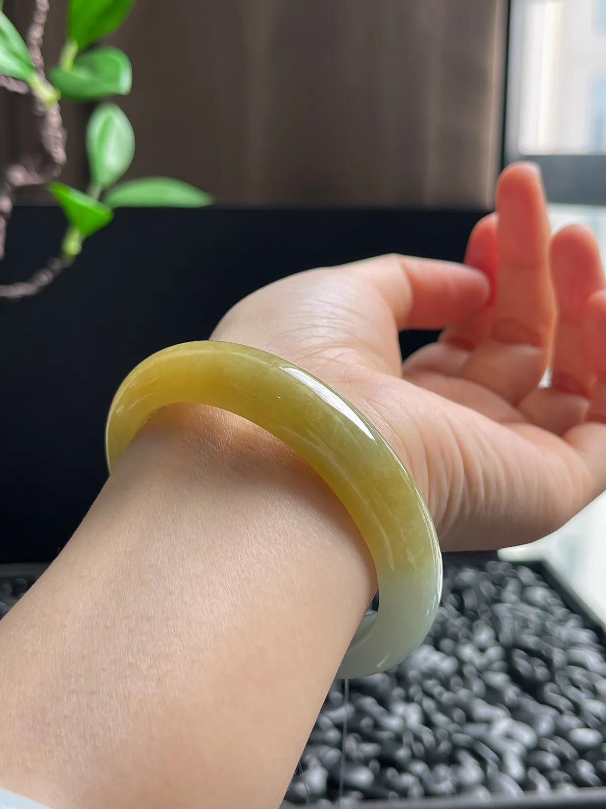 正圈54.7圈口，翡翠冰糯种黄色手镯