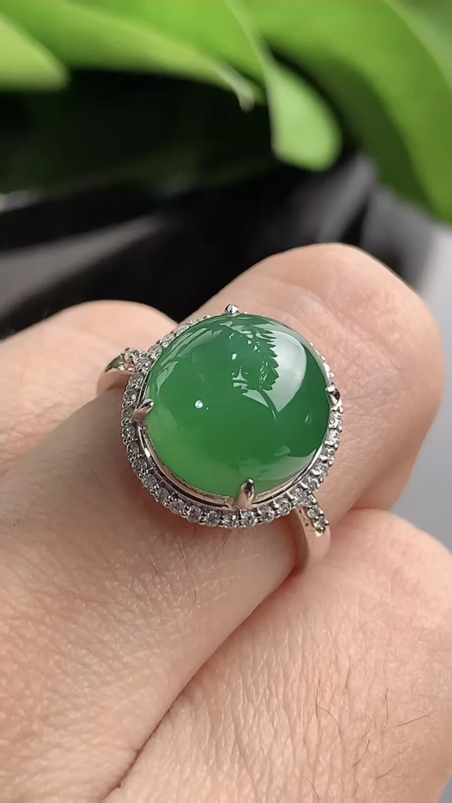 a货翡翠老坑冰种18K金伴钻镶嵌满绿蛋面戒指 圈口17.4裸石尺寸11.2×10.8mm 重量4.05g 1208