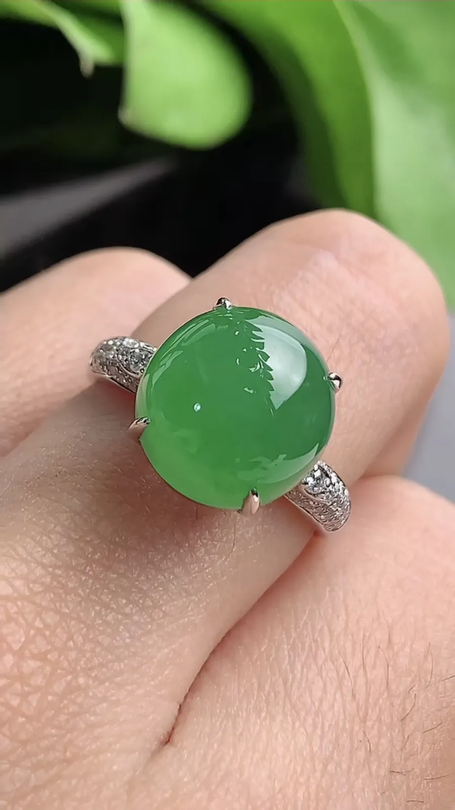 a货翡翠老坑冰种18K金伴钻镶嵌阳绿蛋面戒指 圈口17.6裸石尺寸11.6×11mm 重量4.60g 1208