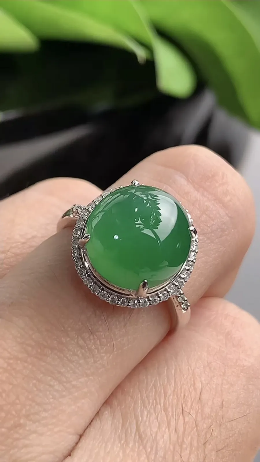 a货翡翠老坑冰种18K金伴钻镶嵌满绿蛋面戒指 圈口17.4裸石尺寸11.2×10.8mm 重量4.05g 1208
