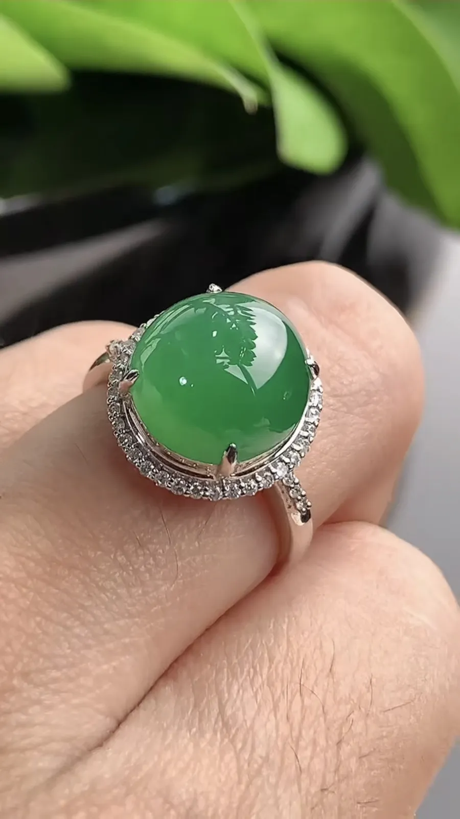 a货翡翠老坑冰种18K金伴钻镶嵌满绿蛋面戒指 圈口17.4裸石尺寸11.2×10.8mm 重量4.0