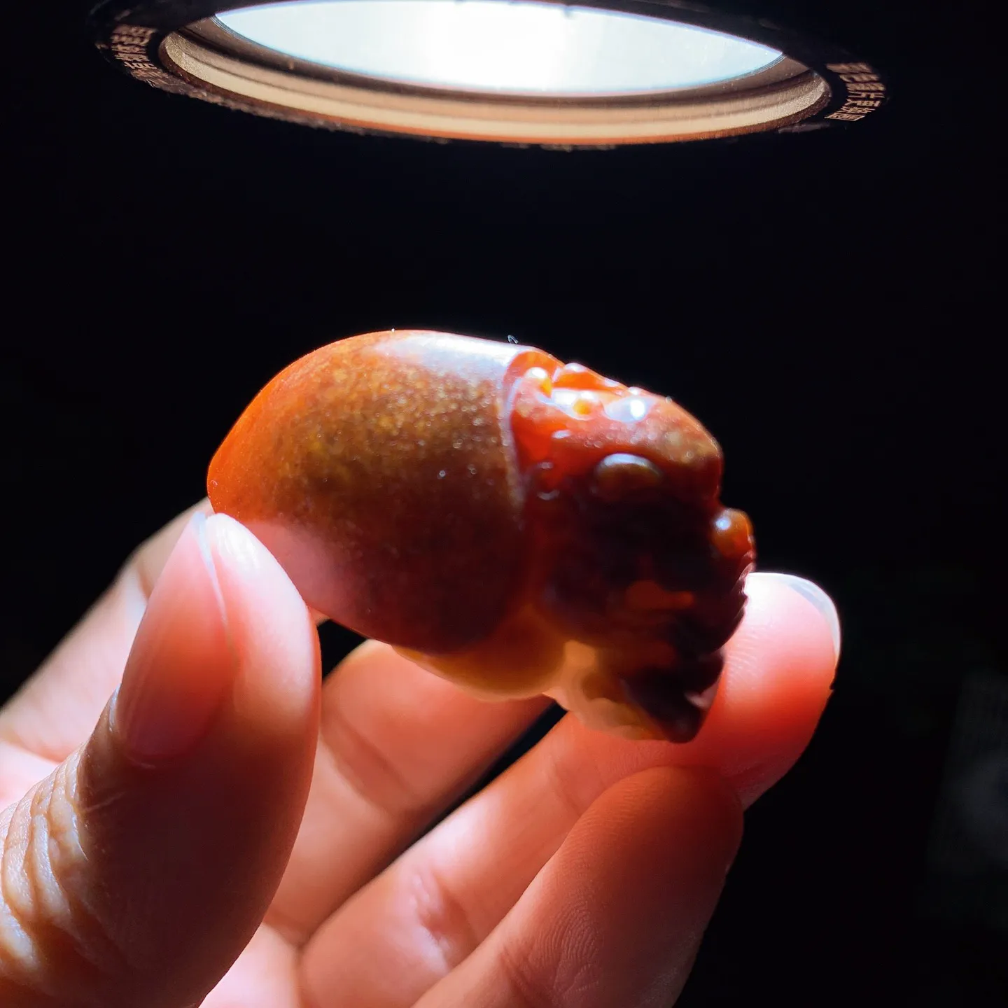 新疆和田玉籽料富贵长寿龙龟挂件。尺寸40/25/21重27.7克。玉质细腻油润。手推出油。佩戴高端典雅。lt251211