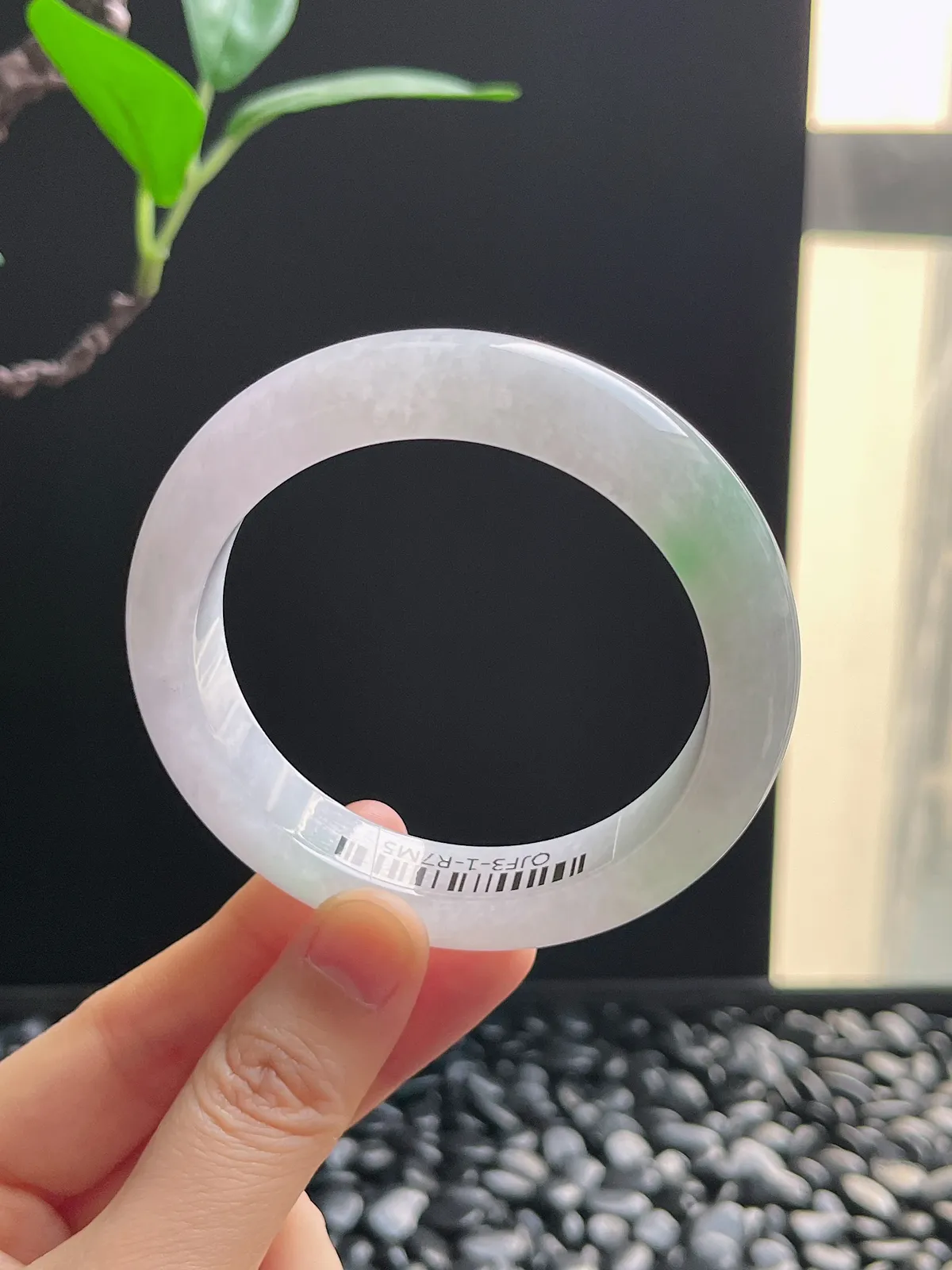 正圈55.3圈口，翡翠冰糯种春带彩手镯