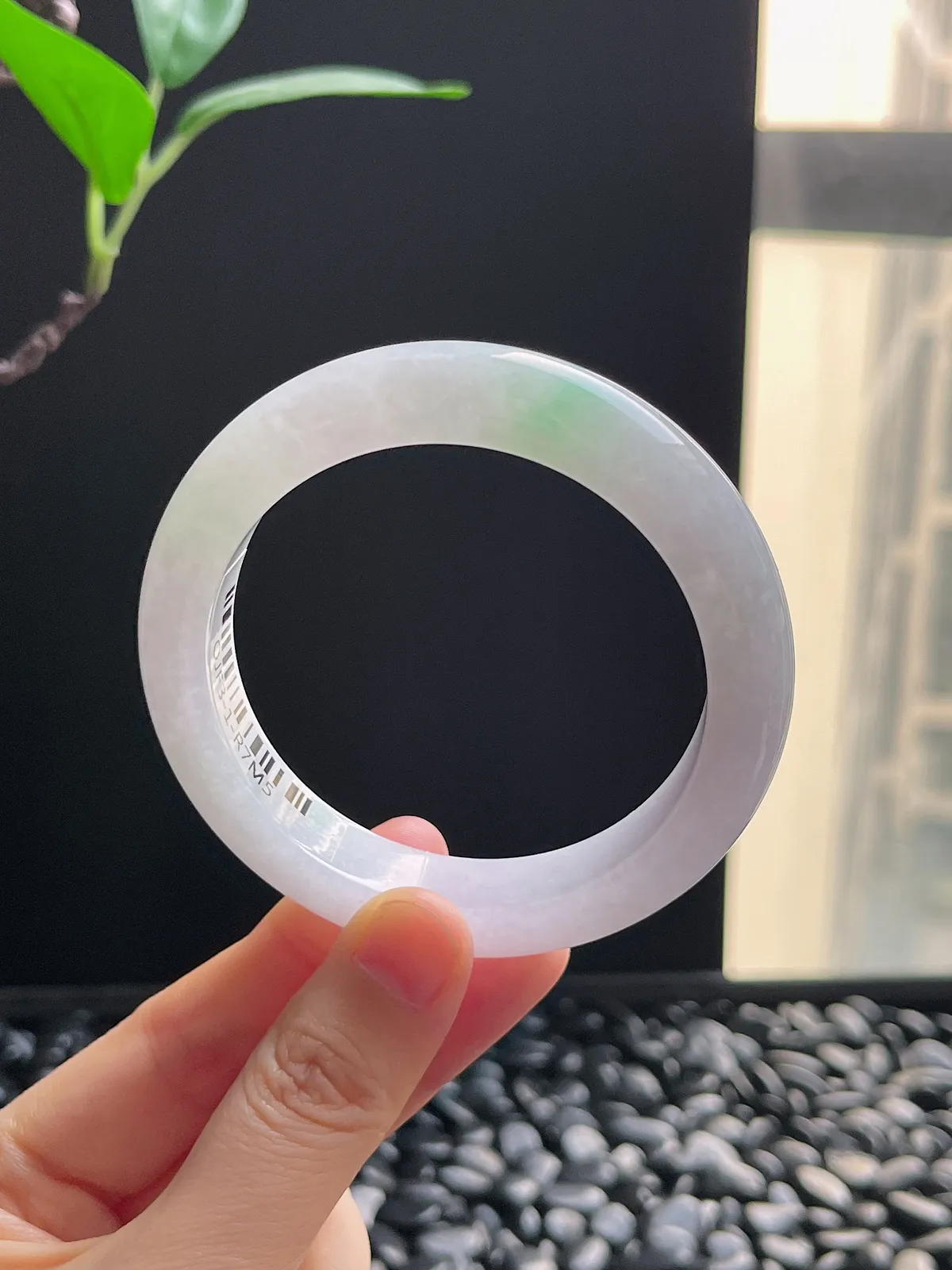 正圈55.3圈口，翡翠冰糯种春带彩手镯