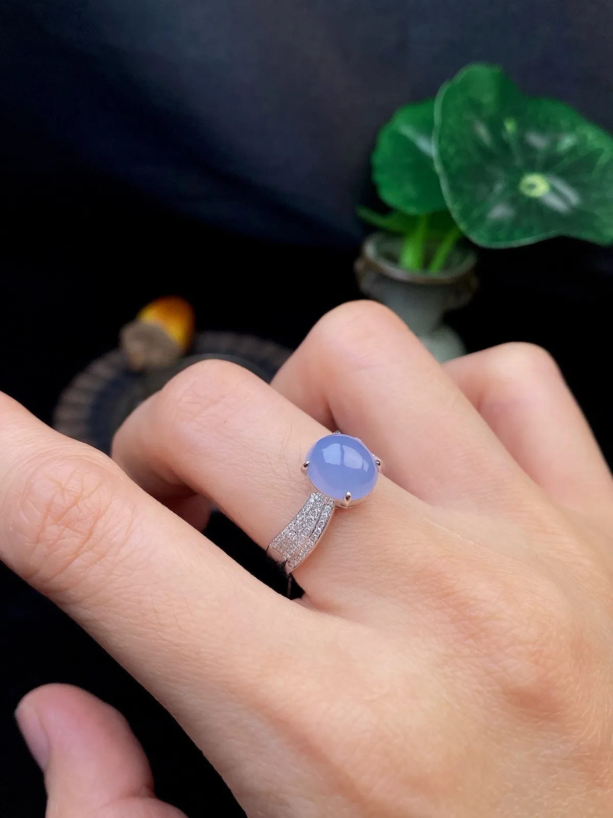 【冰种紫蛋面戒指】质地细腻，饱满度很好，晶莹剔透，18k金钻镶嵌，裸石尺寸8.8*8*4.9毫米