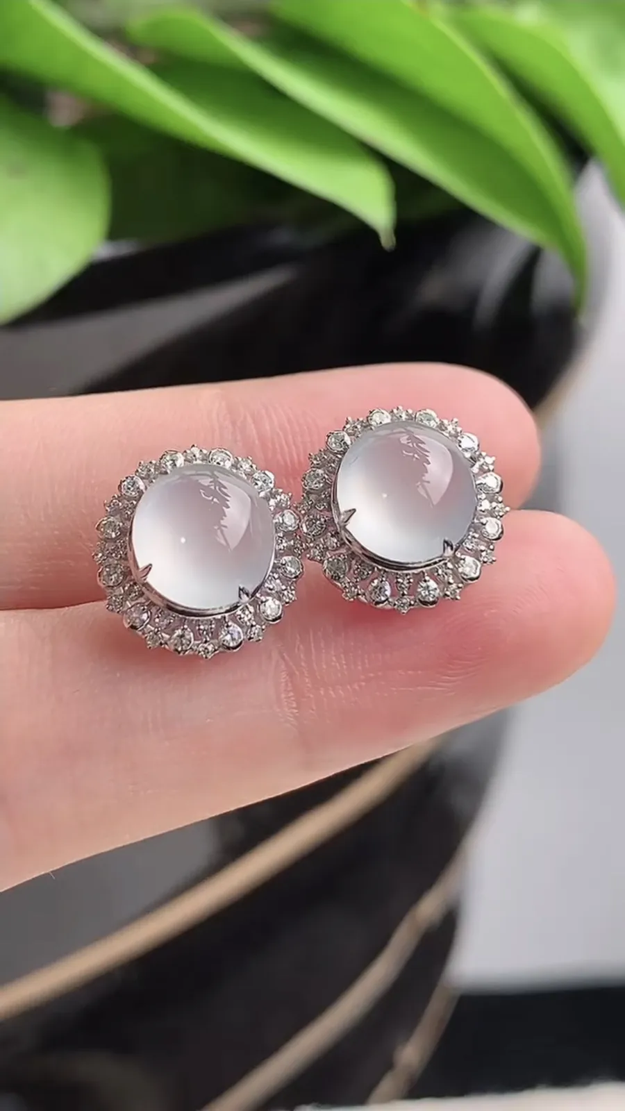 a货翡翠老坑冰种18K金伴钻镶嵌白月光蛋面耳钉 尺寸8×7.5mm 重量2.63g 1215