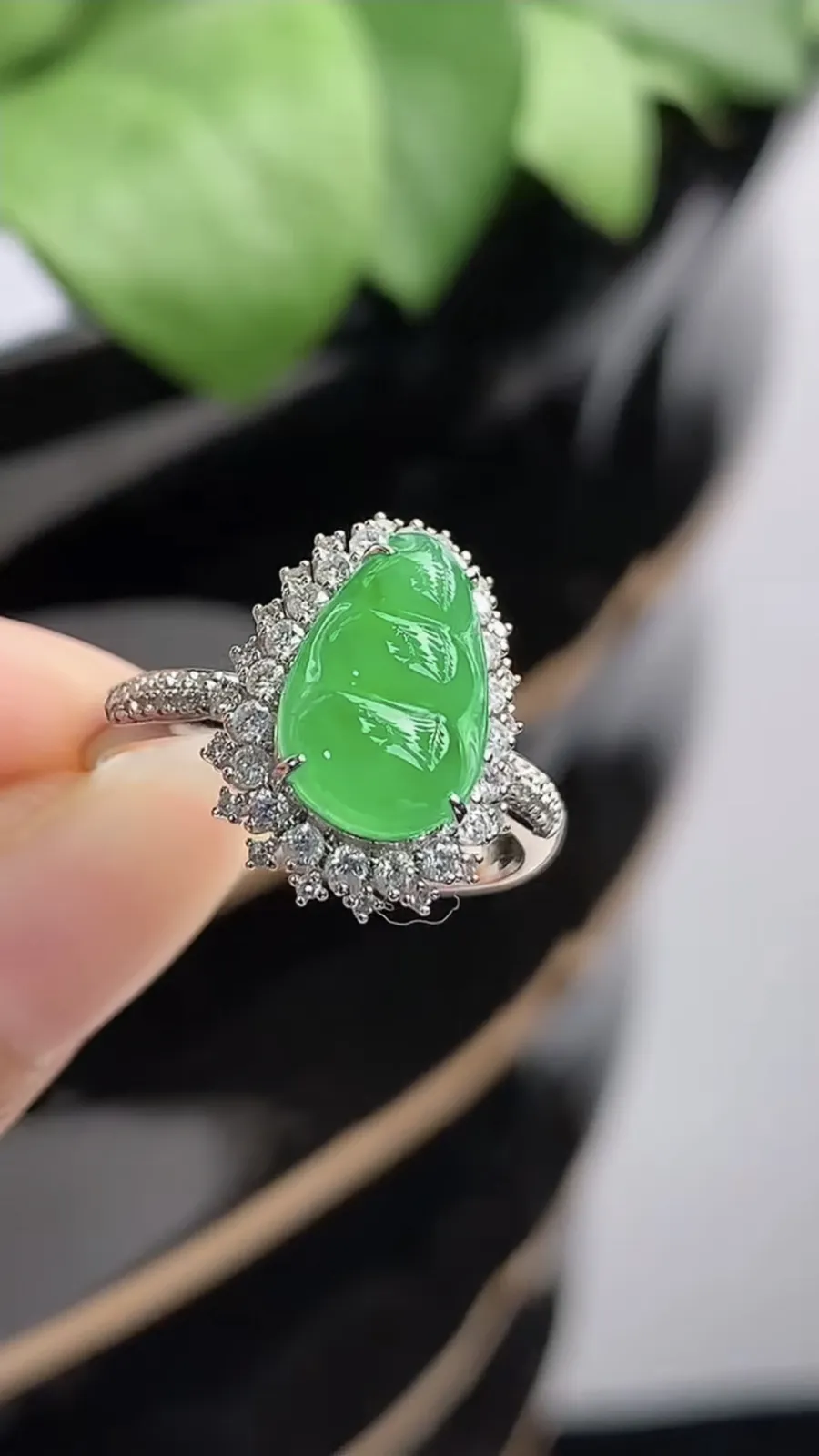 a货翡翠冰种18K金伴钻镶嵌阳绿四季豆福豆平安豆戒指 圈口17.3裸石尺寸11×7mm 重量2.85g 1216