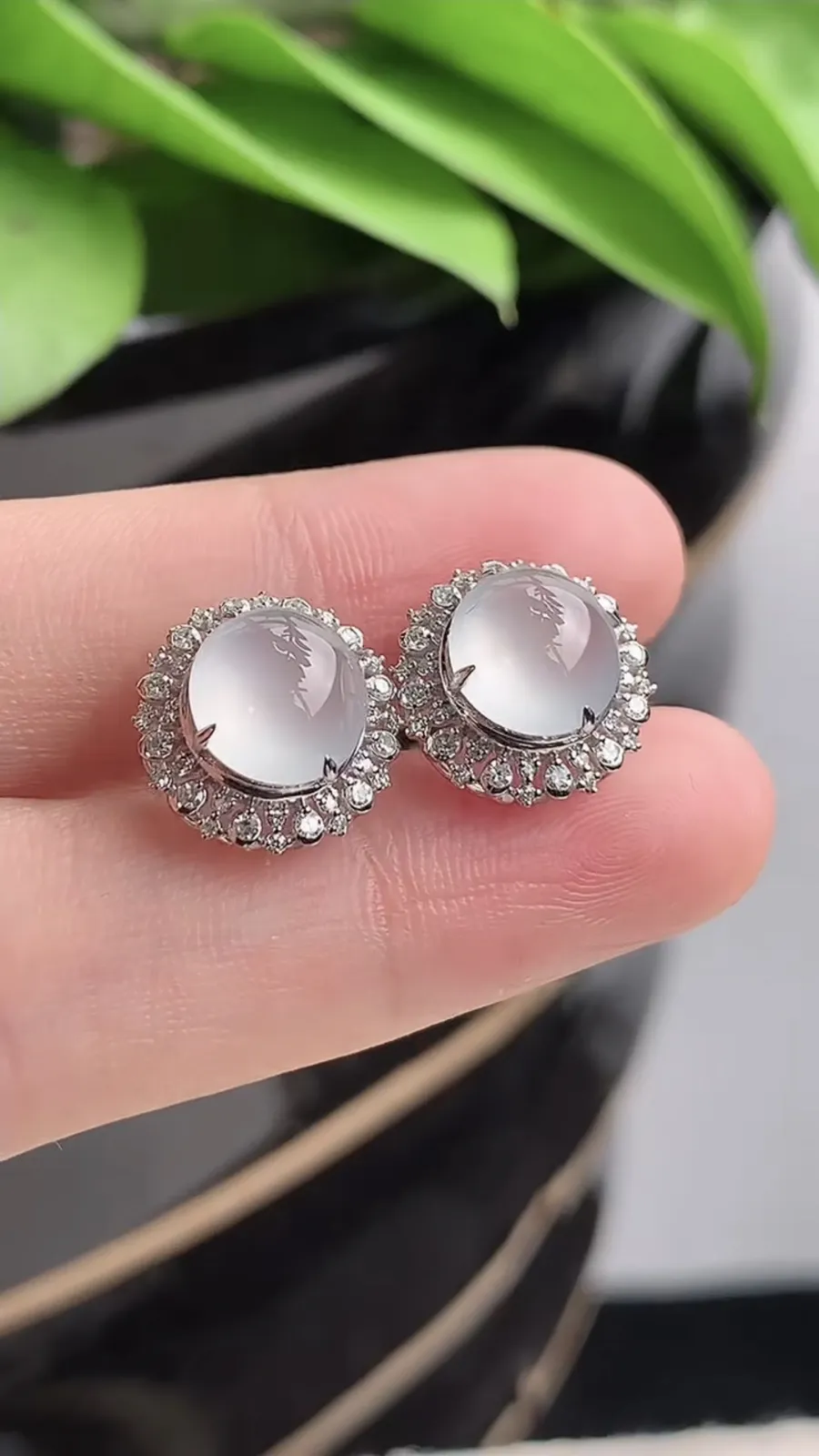 a货翡翠老坑冰种18K金伴钻镶嵌白月光蛋面耳钉 尺寸8×7.5mm 重量2.63g 1215