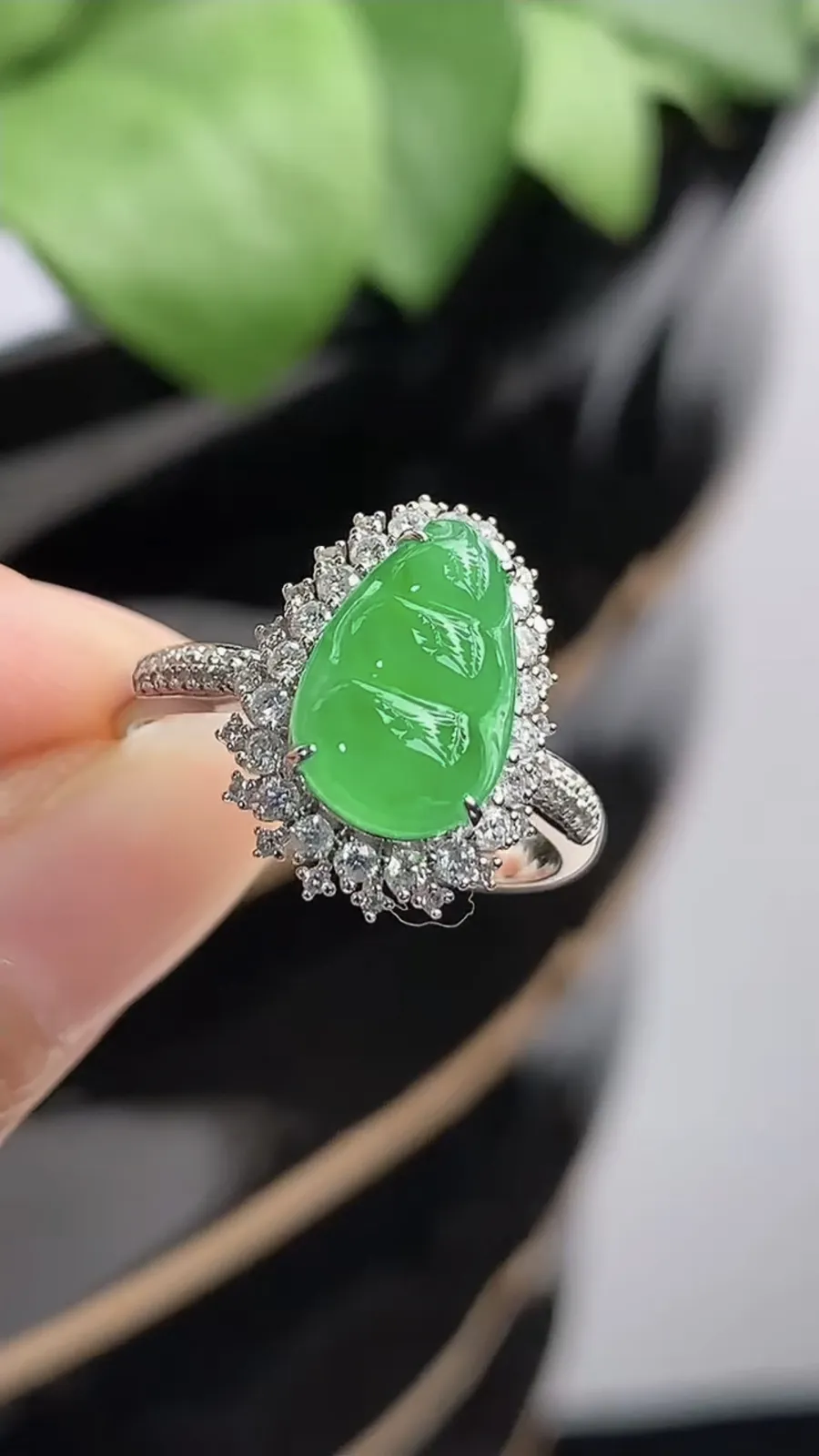 a货翡翠冰种18K金伴钻镶嵌阳绿四季豆福豆平安豆戒指 圈口17.3裸石尺寸11×7mm 重量2.85g 1216