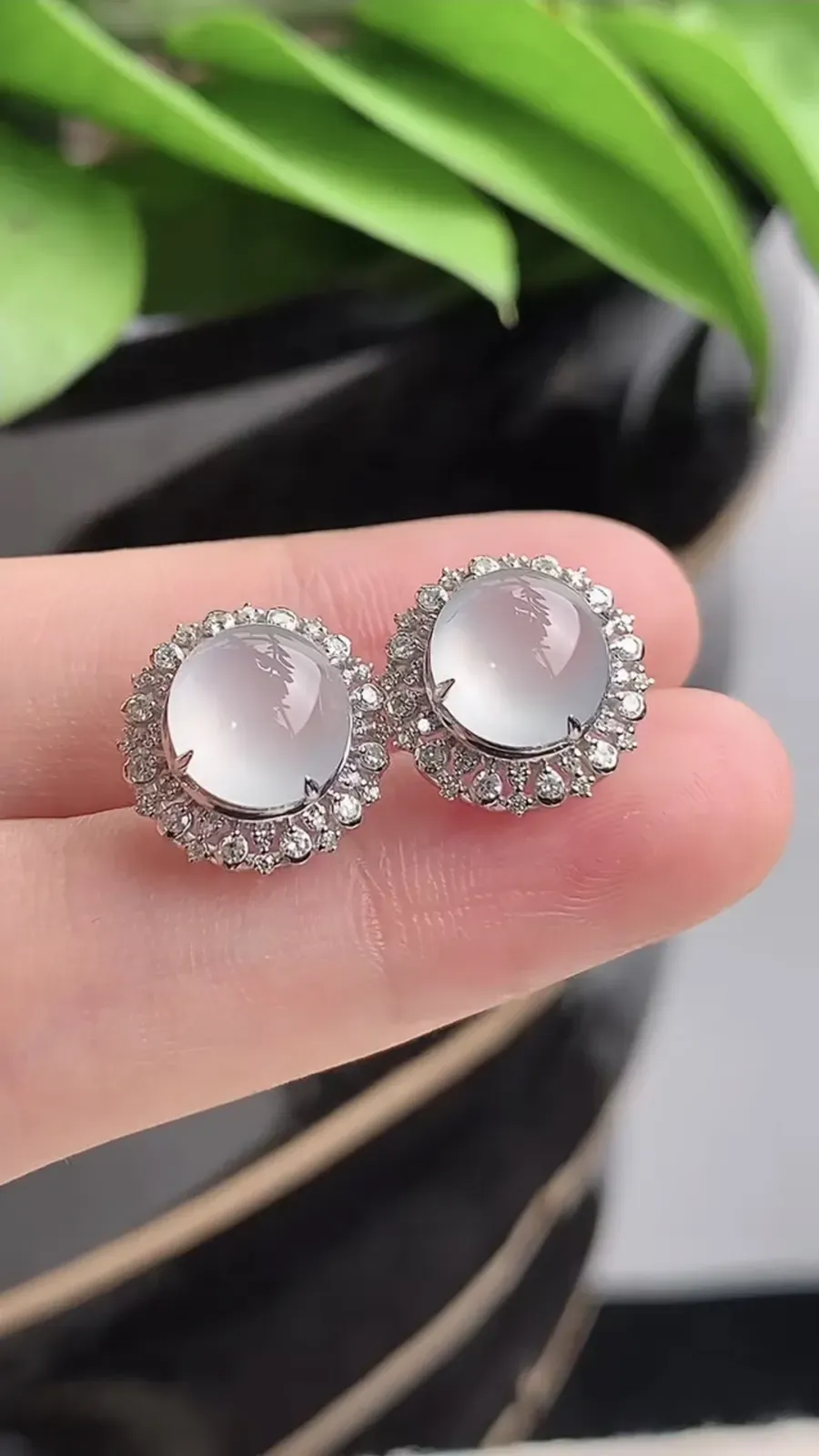 a货翡翠老坑冰种18K金伴钻镶嵌白月光蛋面耳钉 尺寸8×7.5mm 重量2.63g 1215