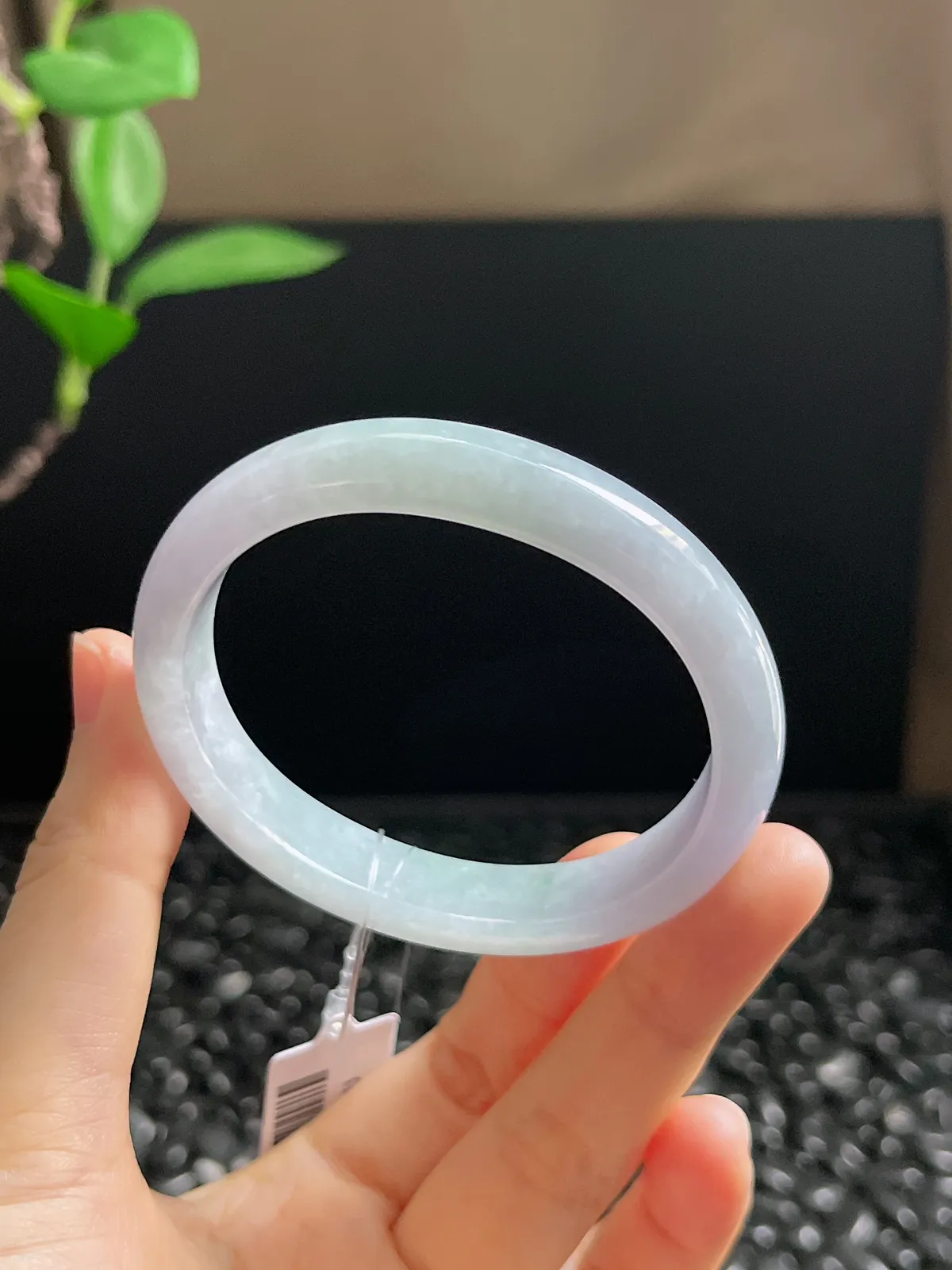 贵妃镯53.5圈口，翡翠糯化种春带彩手镯