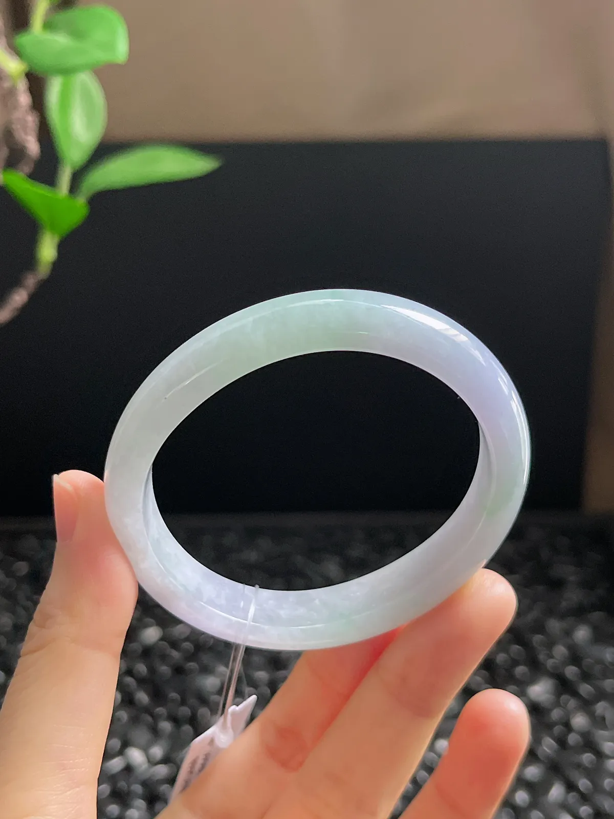 贵妃镯53.5圈口，翡翠糯化种春带彩手镯