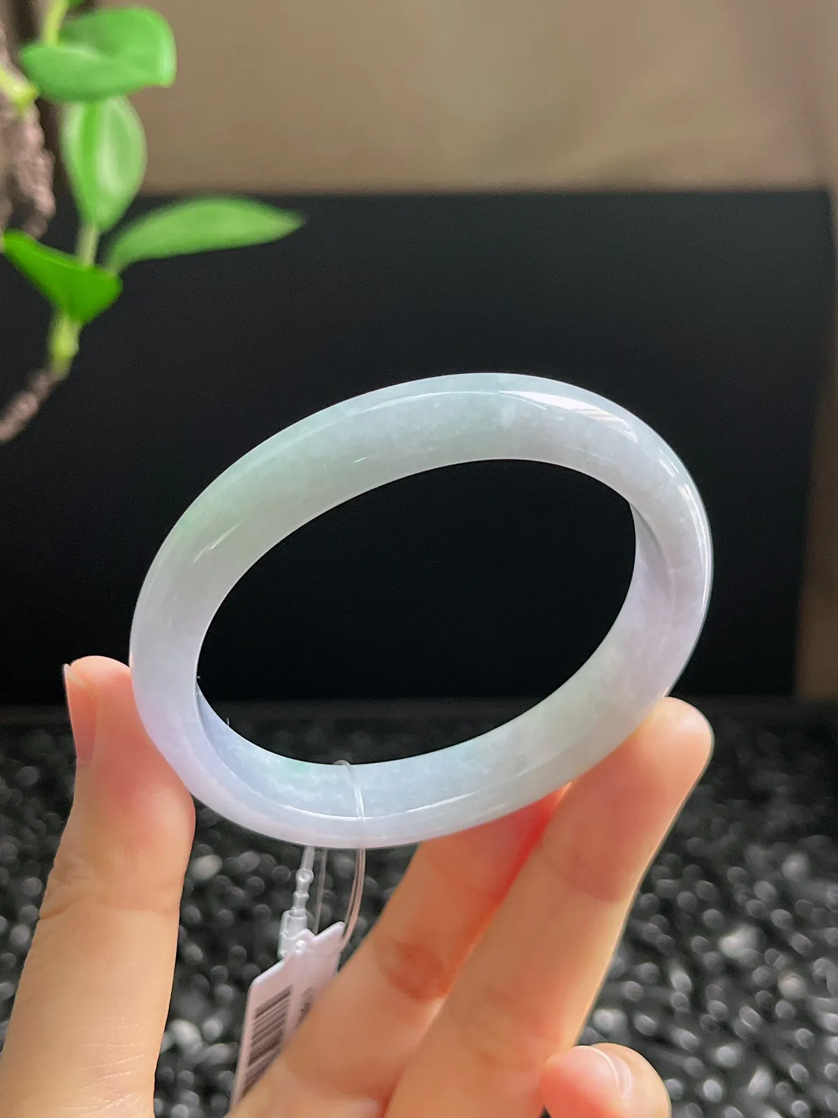 贵妃镯53.5圈口，翡翠糯化种春带彩手镯