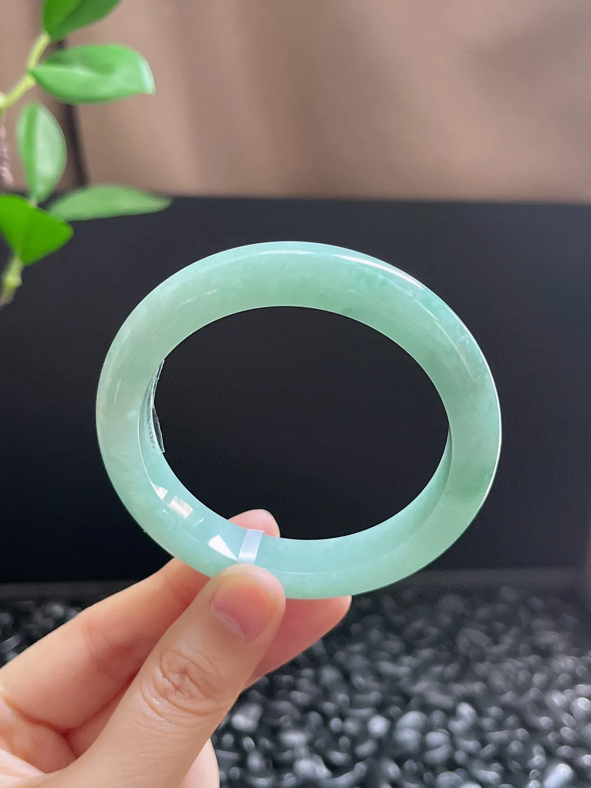 正圈53.6圈口，翡翠糯化种淡绿色手镯