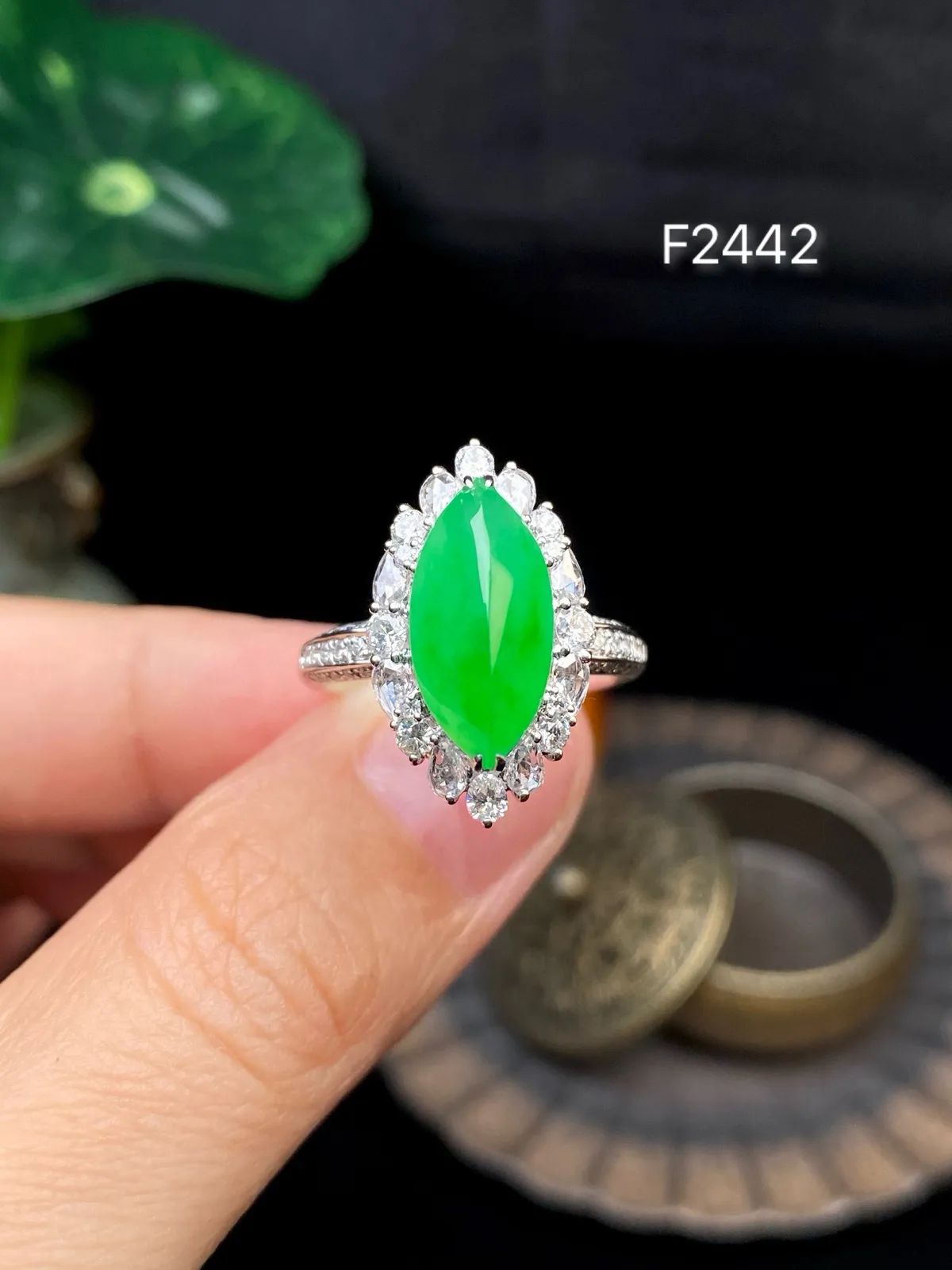 【冰种满绿马眼戒指】质地均匀细腻，冰润起光，胶感强烈，冰感明显。18K金钻精美镶嵌，裸石尺寸14.7