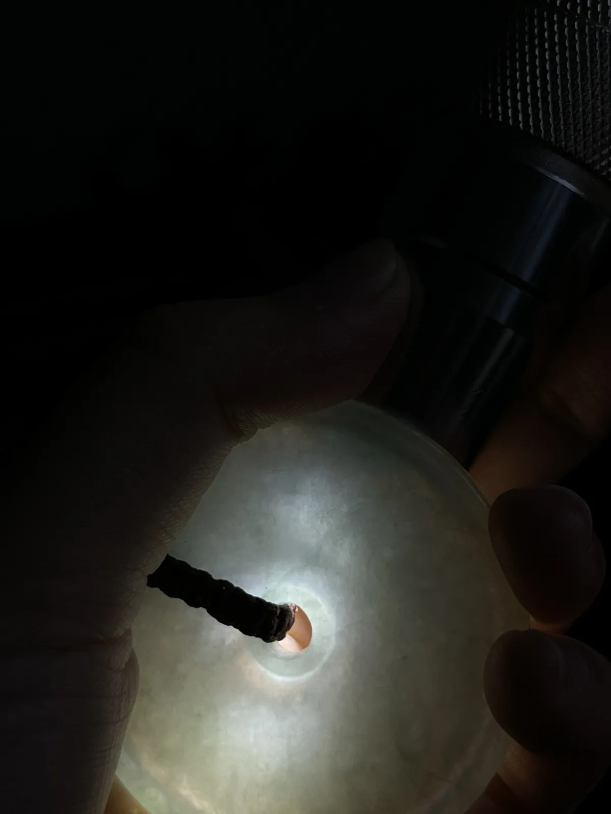 翡翠冰糯种淡绿色平安扣，配珠未测