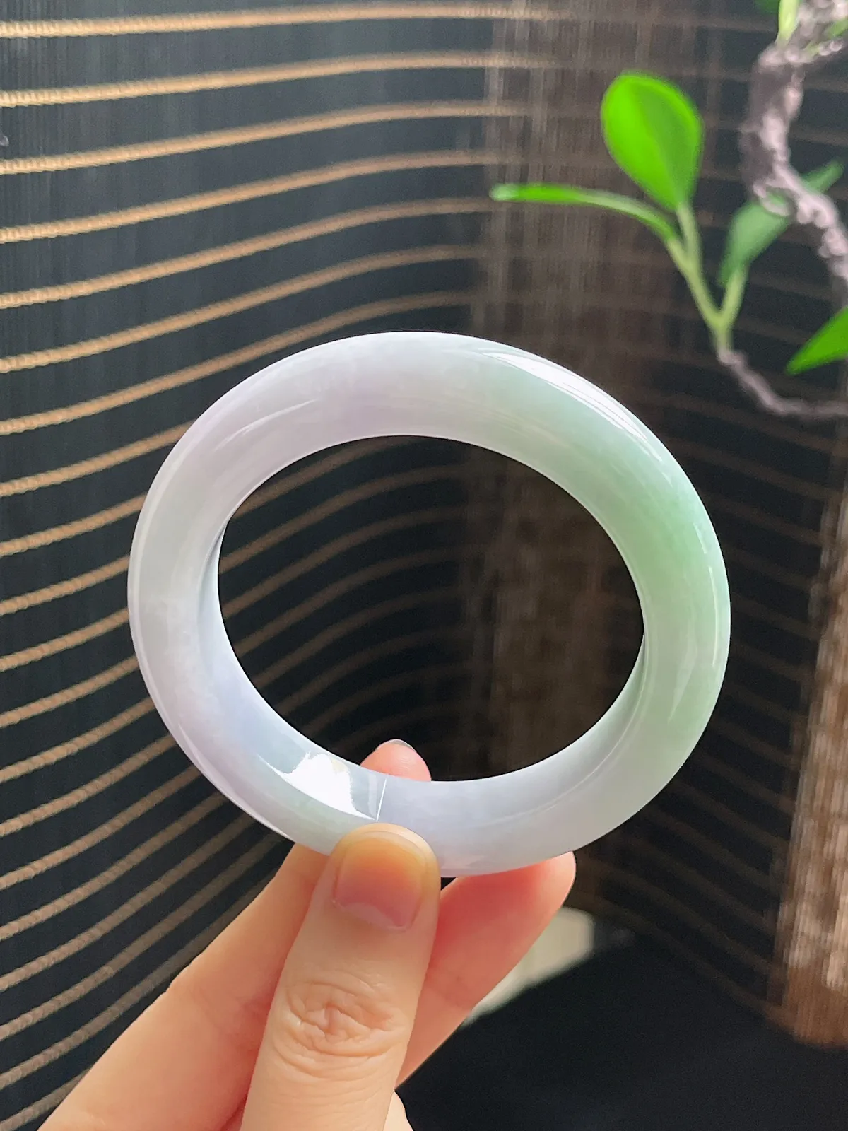 正圈53.9圈口，翡翠糯化种春带彩手镯