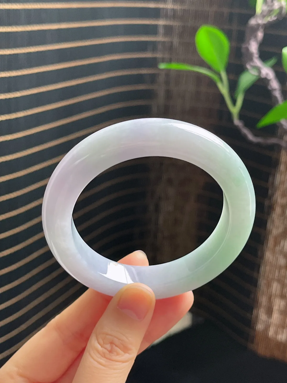 正圈53.9圈口，翡翠糯化种春带彩手镯