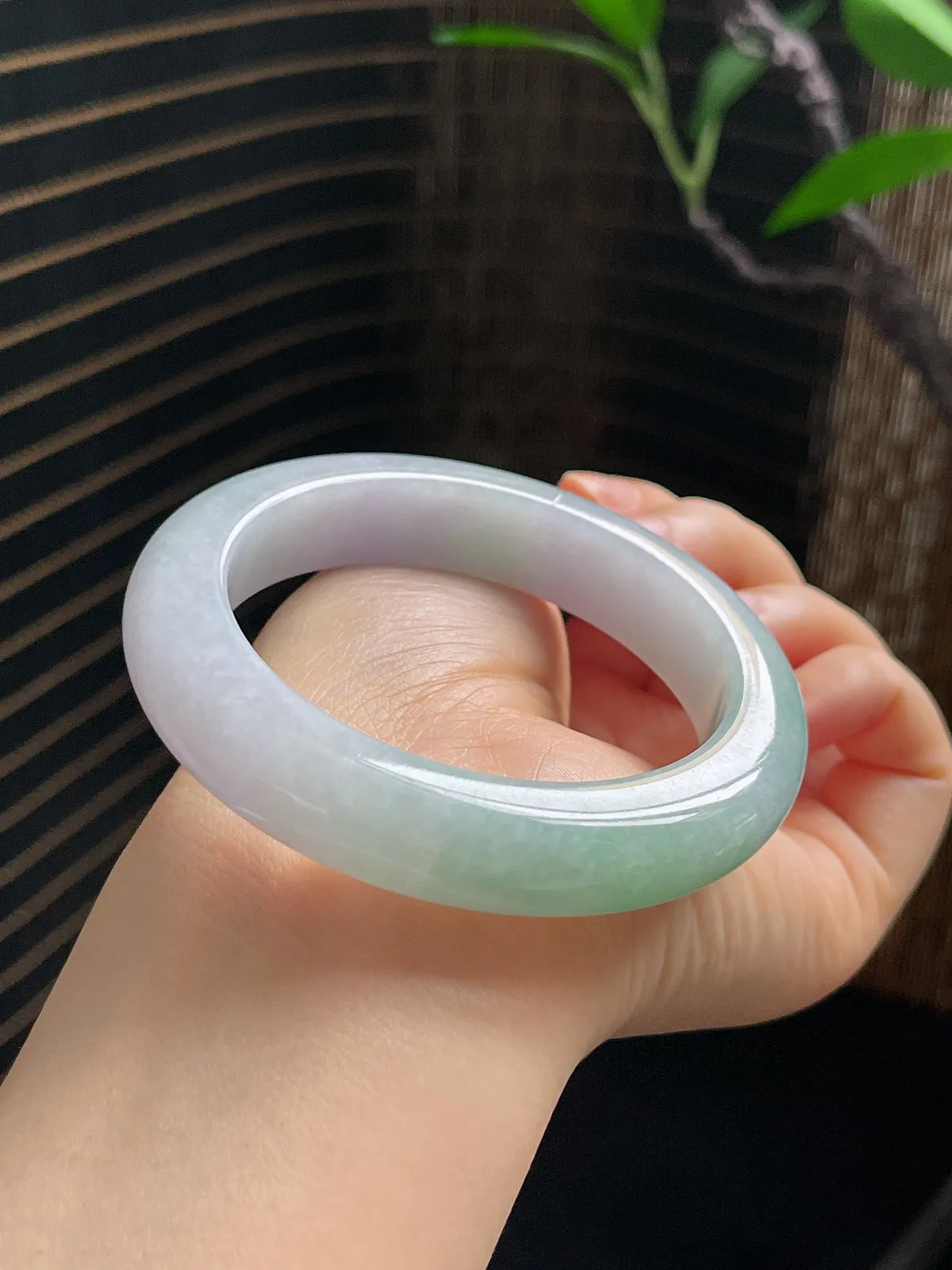 正圈53.9圈口，翡翠糯化种春带彩手镯